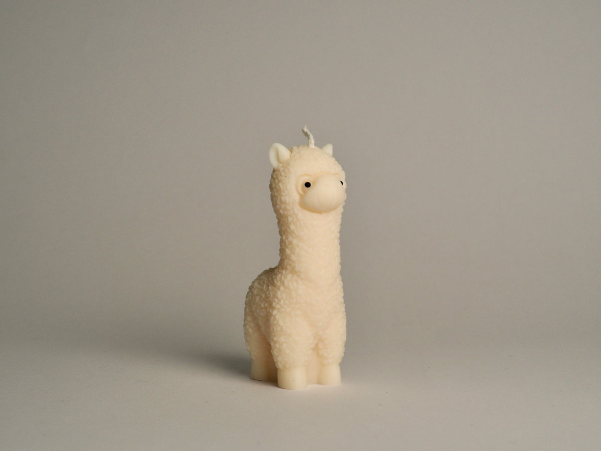 Lama Glama