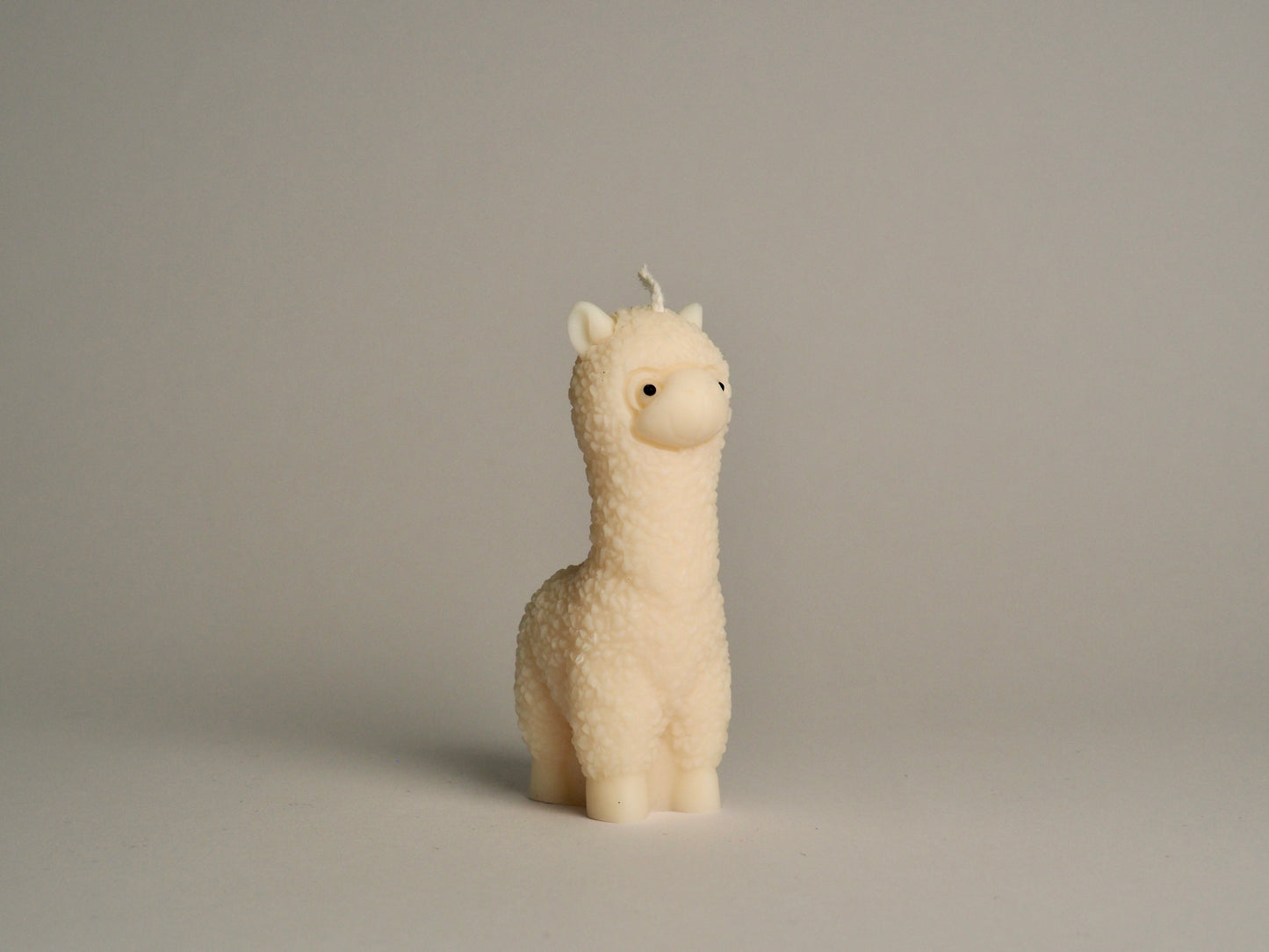Lama Glama