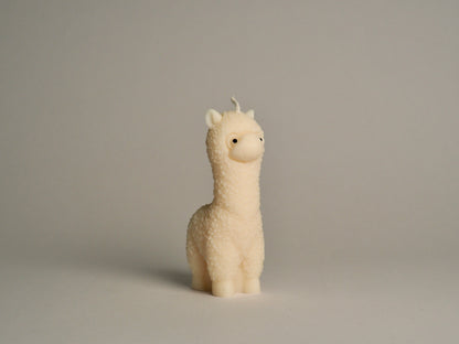 Lama Glama