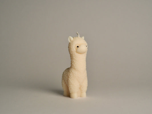 Lama Glama